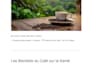 write SEO optimized articles in french or english